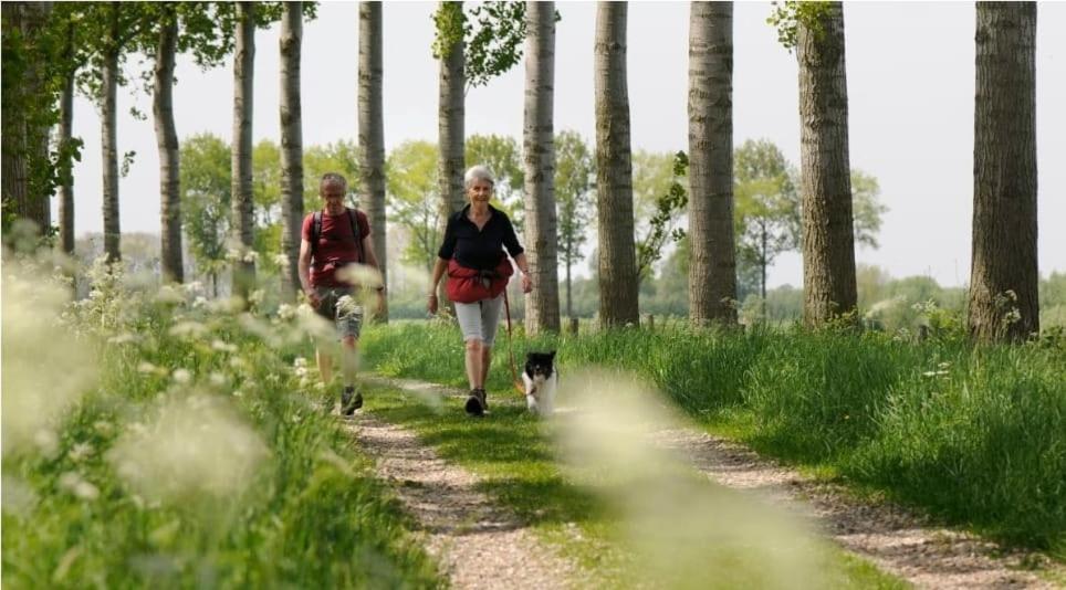 Chalet In Hartje Zeeland, Vlakbij Zeeuwe Kust Vp011