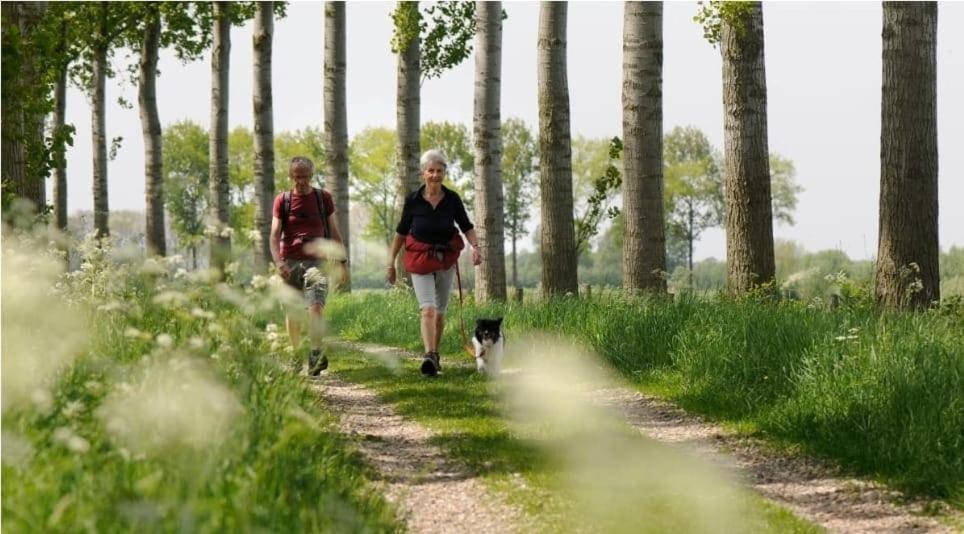 In Hartje Zeeland, Vlakbij Zeeuwe Kust Vp011 Chalet Heinkenszand